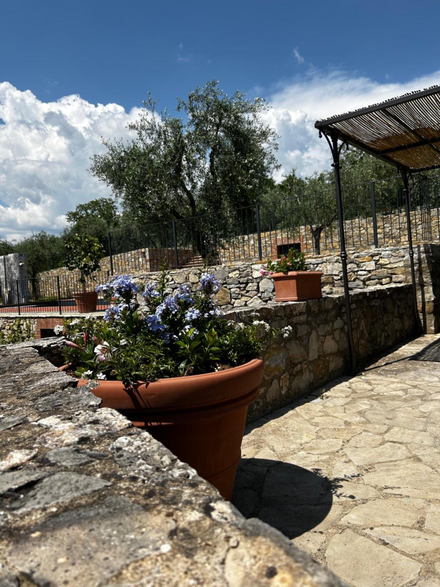 Vakantiehuis Borgo A Monti Di Sotto *